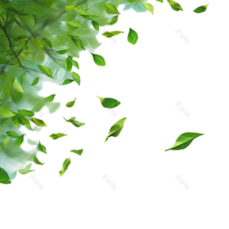 夏至图片,夏天元素,装饰叶子PNG,简约免抠素材
